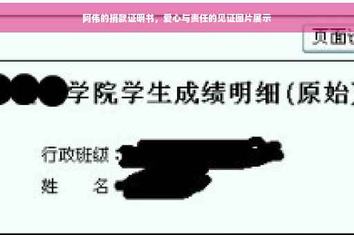 阿伟的捐款证明书，爱心与责任的见证图片展示