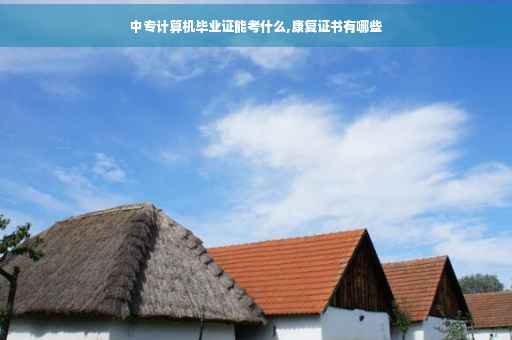 中专计算机毕业证能考什么,康复证书有哪些