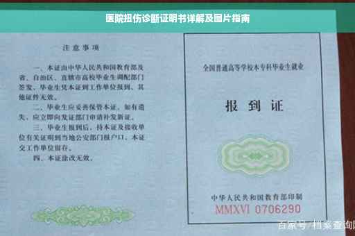 医院扭伤诊断证明书详解及图片指南