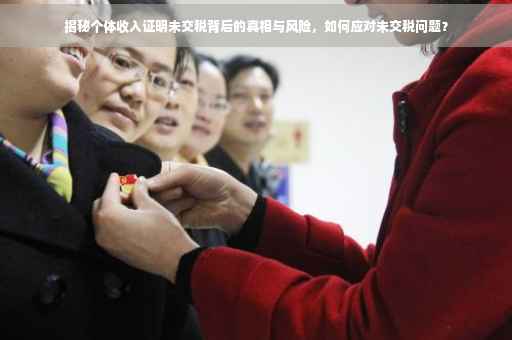 揭秘个体收入证明未交税背后的真相与风险，如何应对未交税问题？
