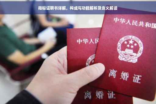 指标证明书详解，构成与功能解析及含义解读