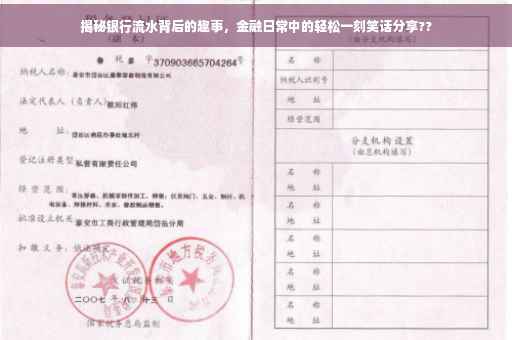 揭秘银行流水背后的趣事，金融日常中的轻松一刻笑话分享??