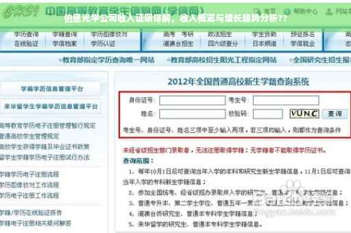 伯恩光学公司收入证明详解，收入概览与增长趋势分析??
