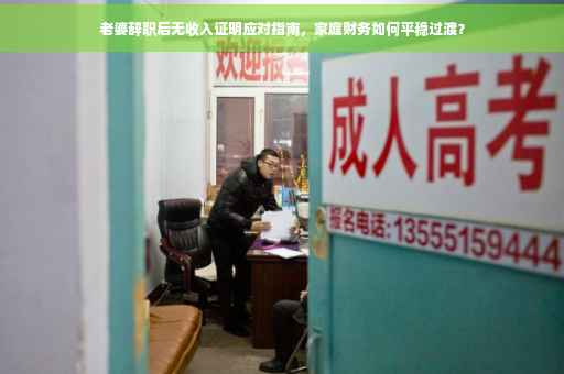 老婆辞职后无收入证明应对指南，家庭财务如何平稳过渡？