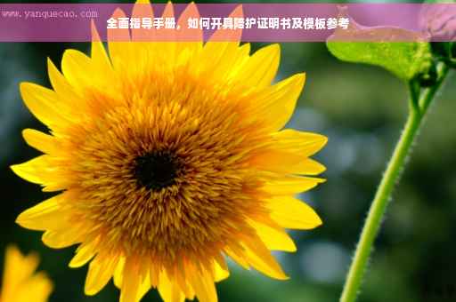 全面指导手册，如何开具陪护证明书及模板参考