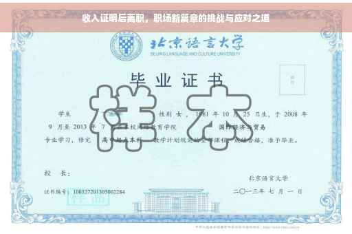 收入证明后离职，职场新篇章的挑战与应对之道