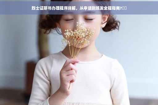 烈士证明书办理程序详解，从申请到颁发全程指南?⚡️