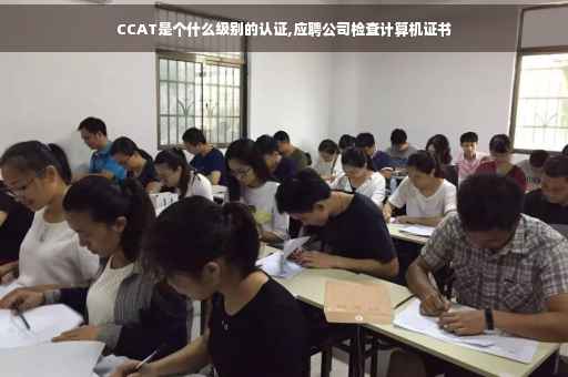 CCAT是个什么级别的认证,应聘公司检查计算机证书
