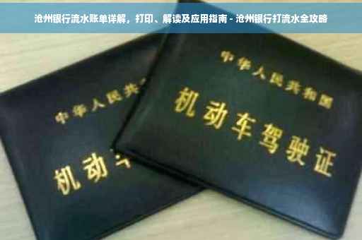 沧州银行流水账单详解，打印、解读及应用指南 - 沧州银行打流水全攻略