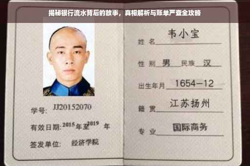 揭秘银行流水背后的故事，真相解析与账单严查全攻略