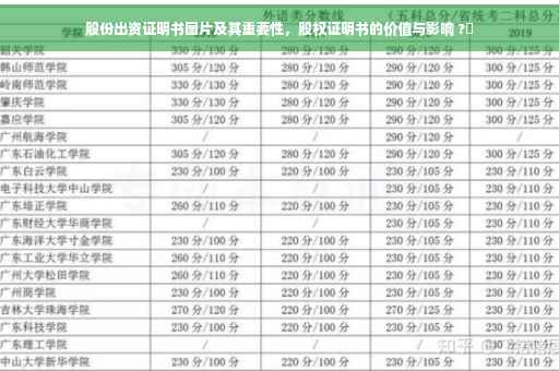 股份出资证明书图片及其重要性，股权证明书的价值与影响 ?✨