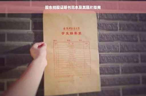 股东持股证明书范本及其图片指南