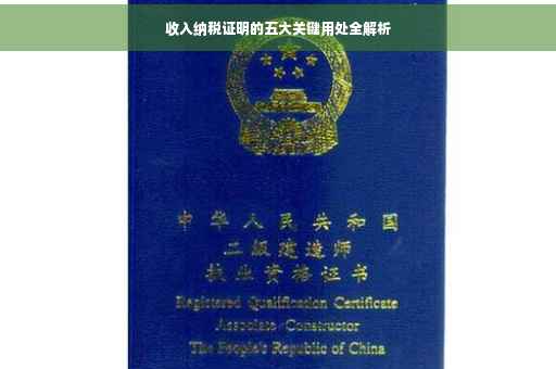 收入纳税证明的五大关键用处全解析