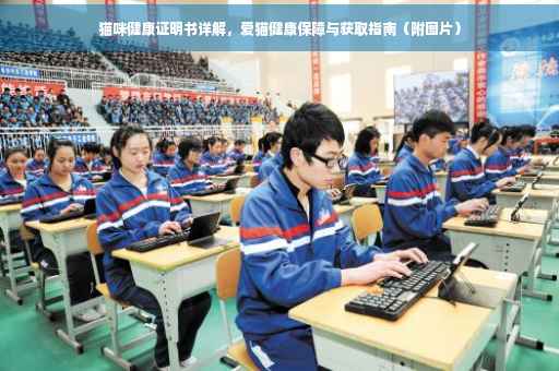 猫咪健康证明书详解，爱猫健康保障与获取指南（附图片）