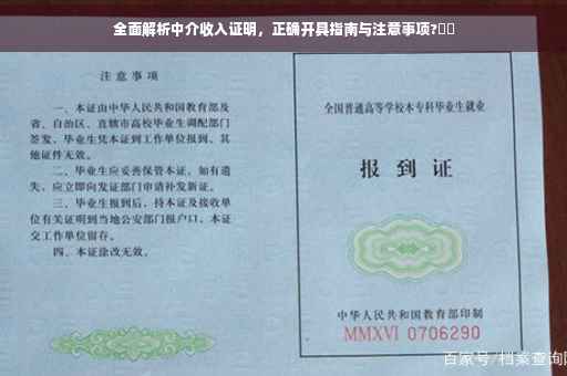 全面解析中介收入证明，正确开具指南与注意事项?⚡️