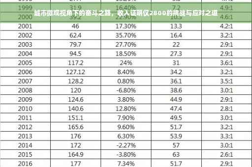 城市微观视角下的奋斗之路，收入证明仅2800的挑战与应对之道