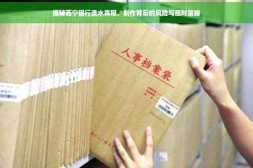 揭秘西宁银行流水真相，制作背后的风险与应对策略