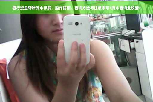 银行资金转账流水详解，操作指南、查询方法与注意事项?流水查询全攻略?