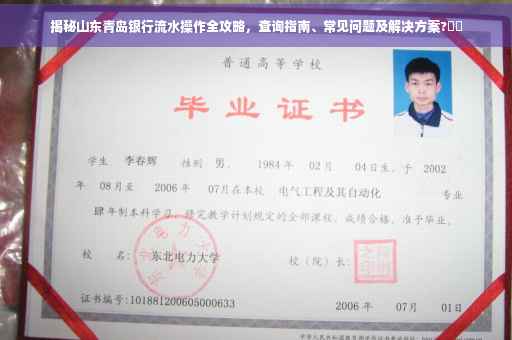 揭秘山东青岛银行流水操作全攻略，查询指南、常见问题及解决方案?⚡️
