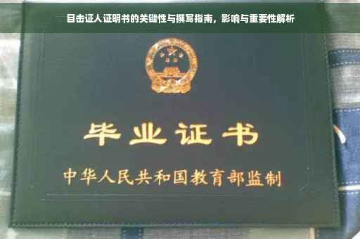 目击证人证明书的关键性与撰写指南，影响与重要性解析