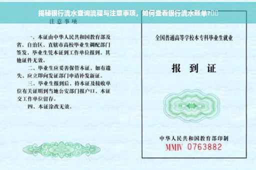 揭秘银行流水查询流程与注意事项，如何查看银行流水账单?⚡️