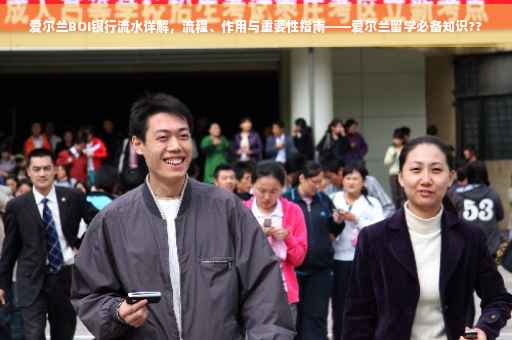 爱尔兰BOI银行流水详解，流程、作用与重要性指南——爱尔兰留学必备知识??