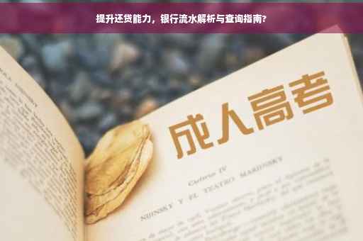 提升还贷能力，银行流水解析与查询指南?
