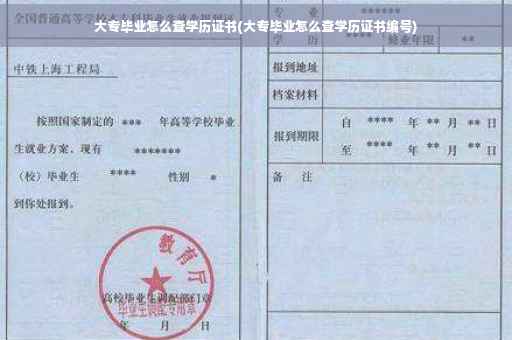 大专毕业怎么查学历证书(大专毕业怎么查学历证书编号)