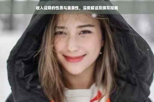 收入证明的性质与重要性，深度解读及撰写指南