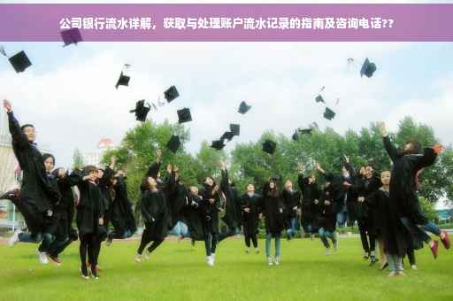 公司银行流水详解，获取与处理账户流水记录的指南及咨询电话??
