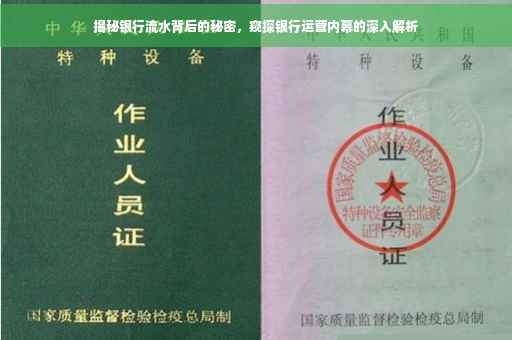 揭秘银行流水背后的秘密，窥探银行运营内幕的深入解析
