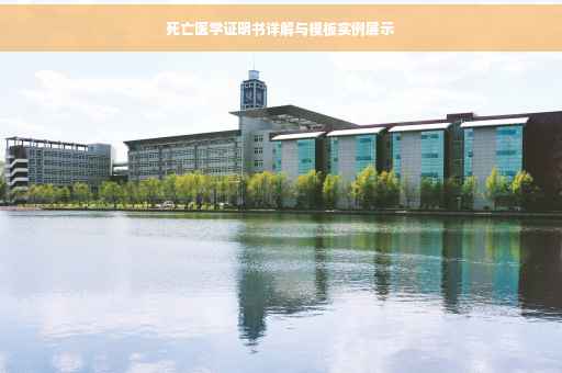 死亡医学证明书详解与模板实例展示