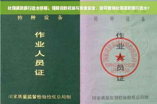 社保退款银行流水详解，保障你的权益与资金安全，如何查询社保退款银行流水？