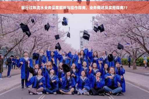 银行过账流水业务深度解析与操作指南，业务概述及实用指南??