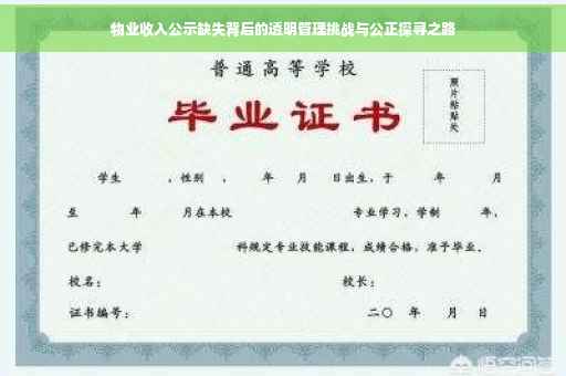 物业收入公示缺失背后的透明管理挑战与公正探寻之路