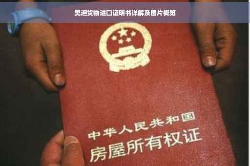 奥迪货物进口证明书详解及图片概览