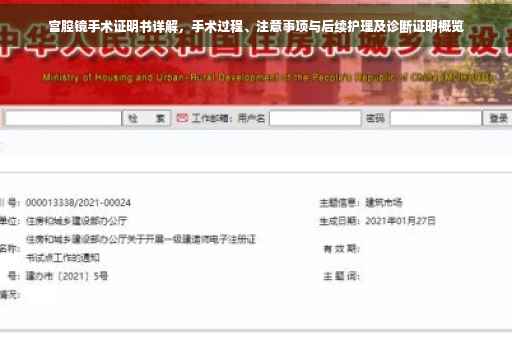 宫腔镜手术证明书详解，手术过程、注意事项与后续护理及诊断证明概览