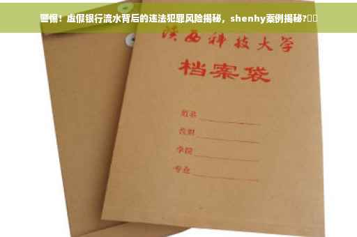 警惕！虚假银行流水背后的违法犯罪风险揭秘，shenhy案例揭秘?⚡️