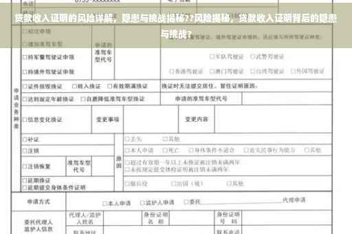 贷款收入证明的风险详解，隐患与挑战揭秘??风险揭秘，贷款收入证明背后的隐患与挑战?