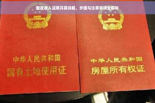 取款收入证明开具详解，步骤与注意事项全解析