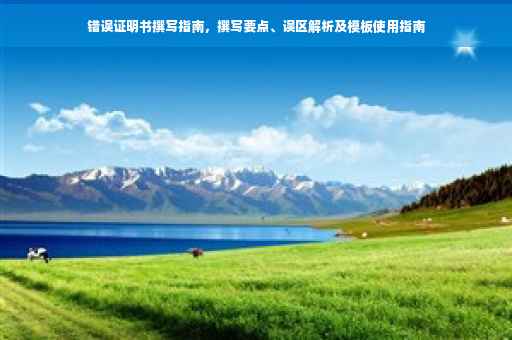 错误证明书撰写指南，撰写要点、误区解析及模板使用指南