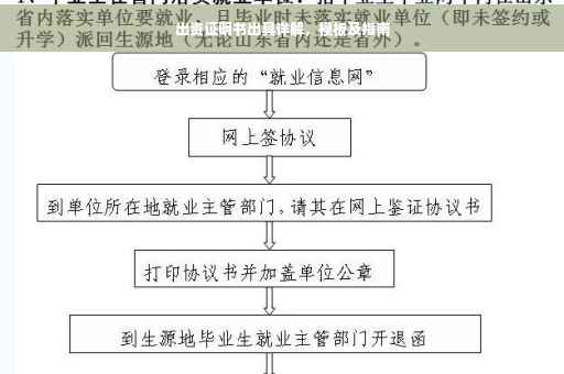 出资证明书出具详解，模板及指南