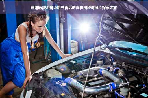 朝阳医院无病证明书背后的真相揭秘与图片探索之旅