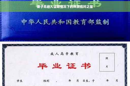 妻子无收入证明情况下的购房应对之策