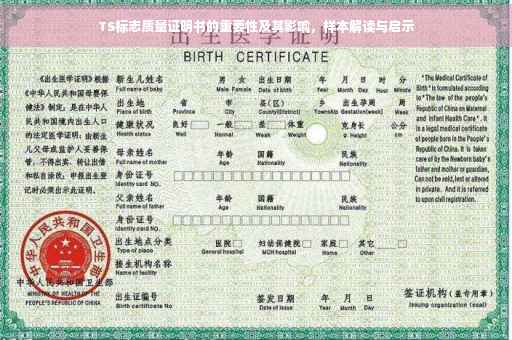 TS标志质量证明书的重要性及其影响，样本解读与启示