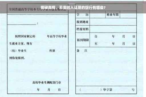 揭秘真相，无需收入证明的银行有哪些？