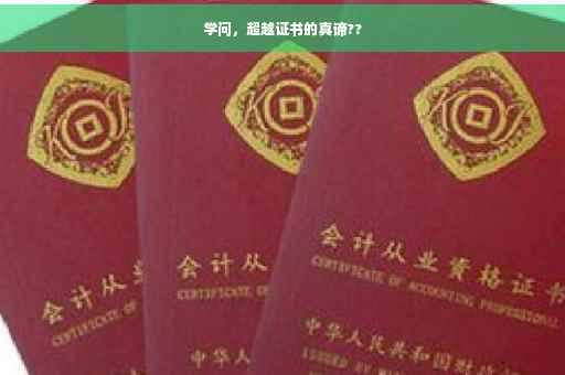 学问，超越证书的真谛??