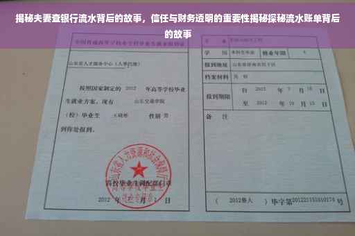 揭秘夫妻查银行流水背后的故事，信任与财务透明的重要性揭秘探秘流水账单背后的故事