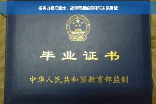 樟树办银行流水，故事背后的真相与未来展望