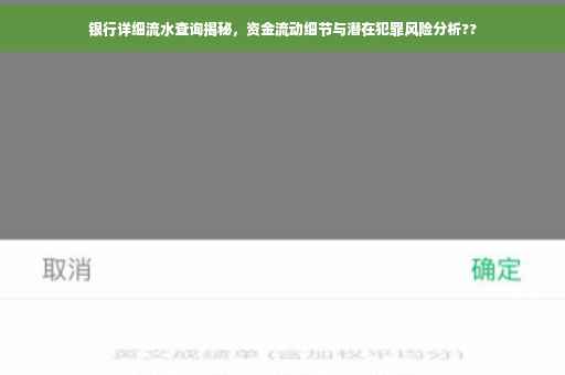 银行详细流水查询揭秘，资金流动细节与潜在犯罪风险分析??